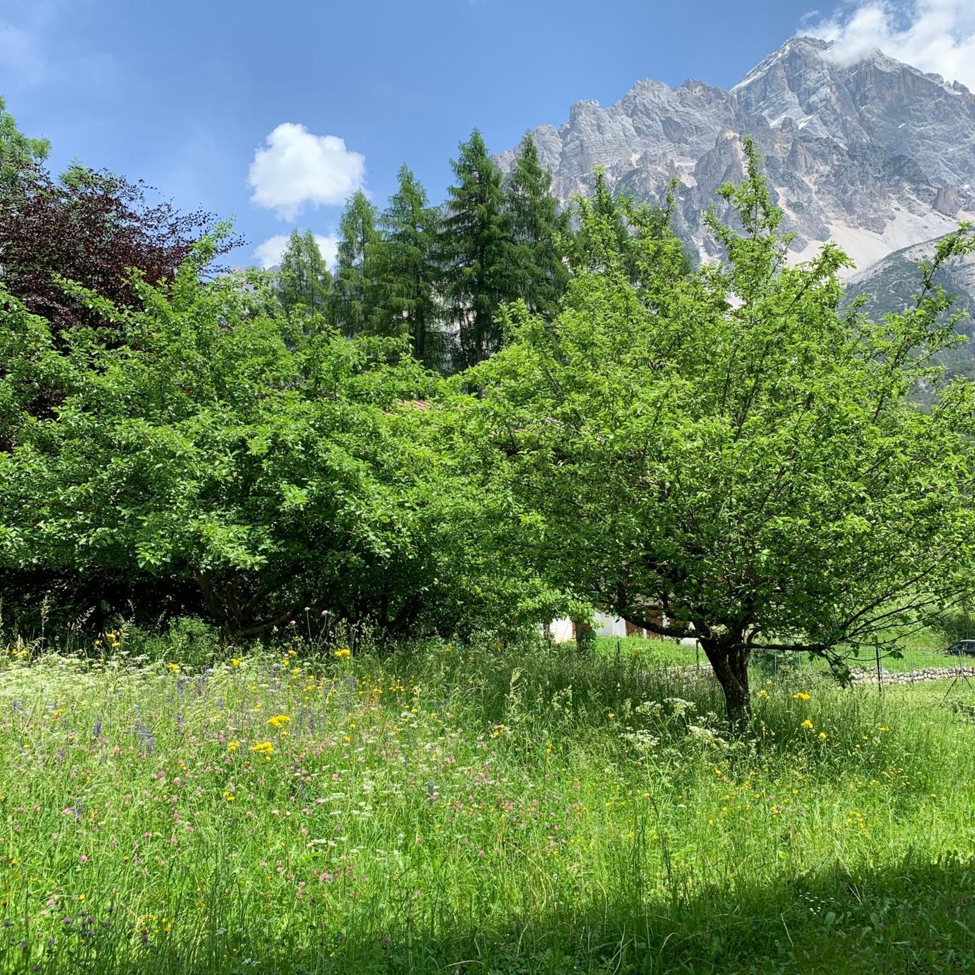 Apartmán Piccolo Gioiello Di Montagna Villanova  Exteriér fotografie